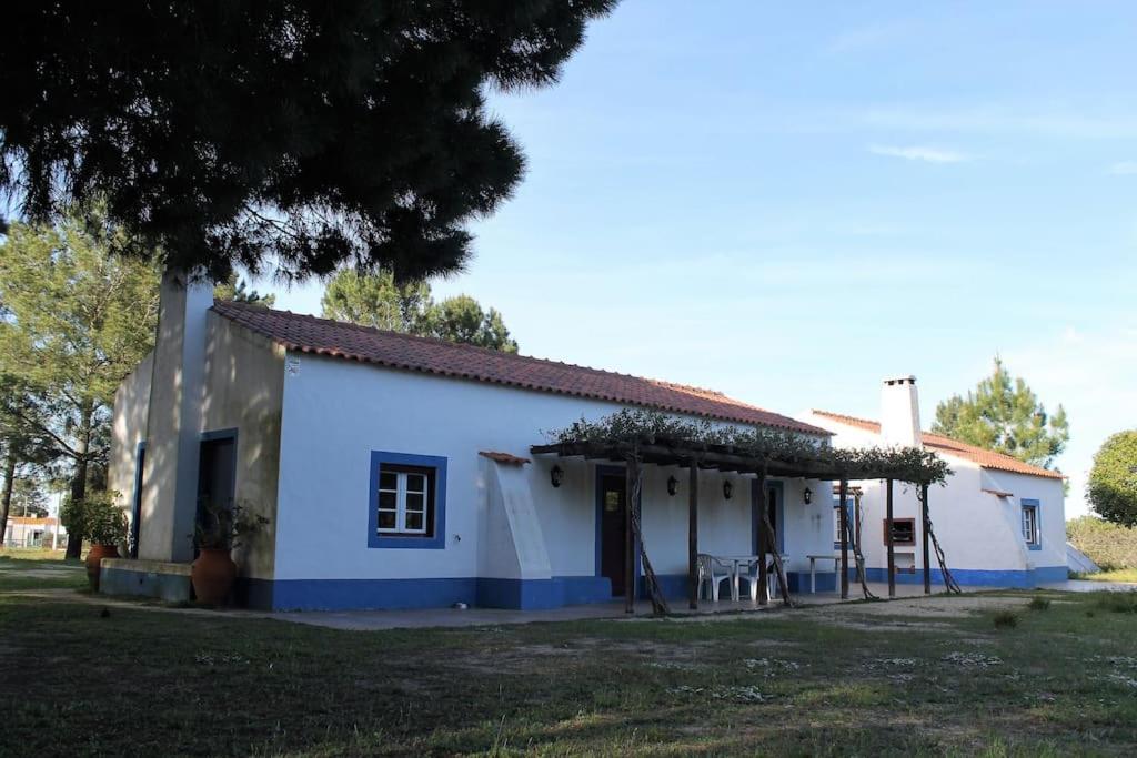 Alcácer do SalCasa Do Pinheiro别墅 外观 照片