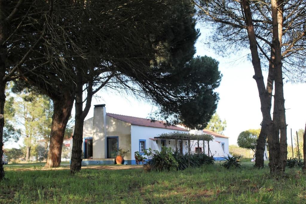 Alcácer do SalCasa Do Pinheiro别墅 外观 照片