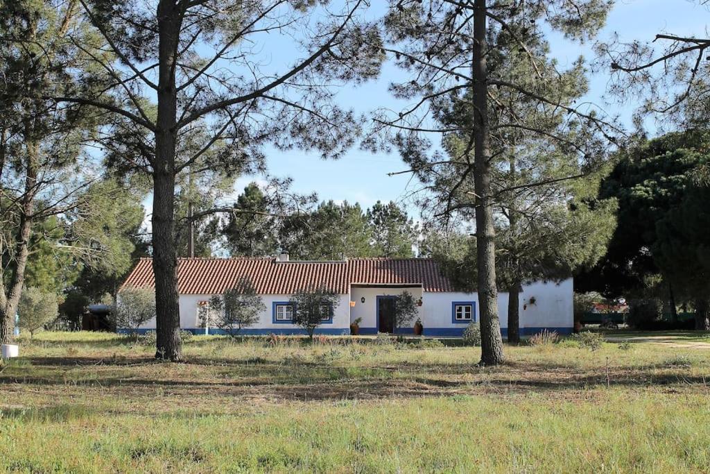Alcácer do SalCasa Do Pinheiro别墅 外观 照片