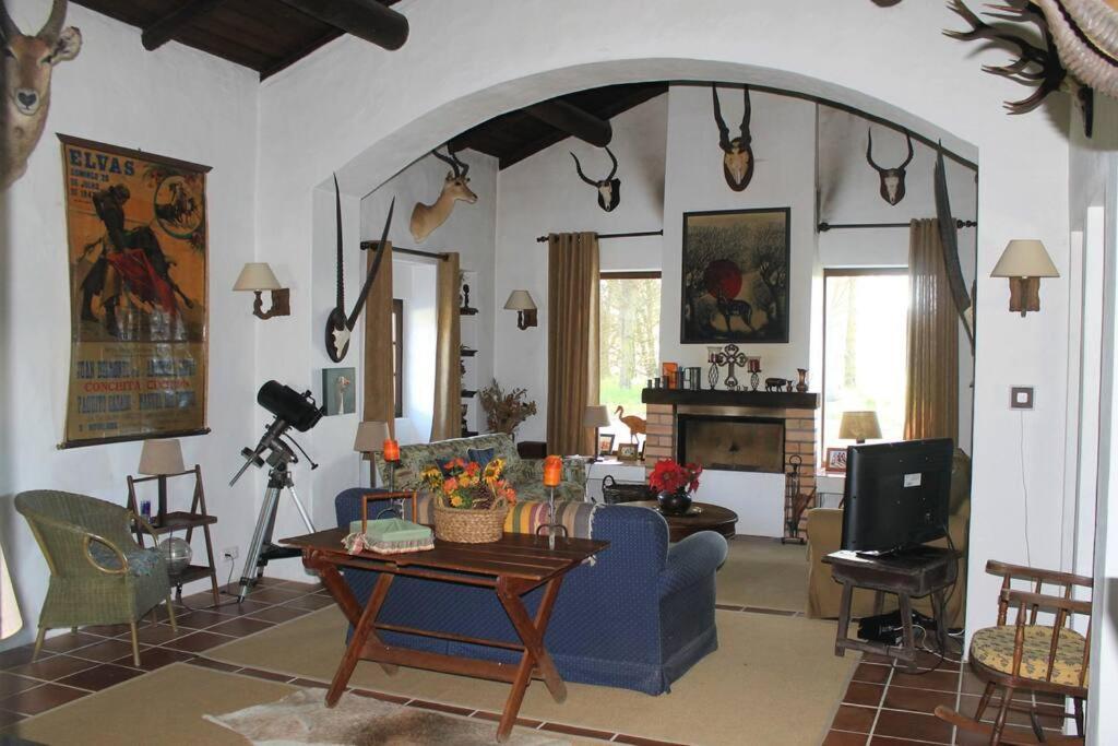 Alcácer do SalCasa Do Pinheiro别墅 外观 照片